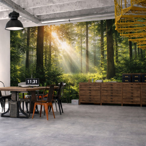 Custom Printed Feature Wall Acoustic Polyester Fiber Panels 120x60cm (pack of 4)